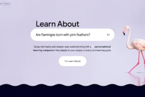 Google's Learn About