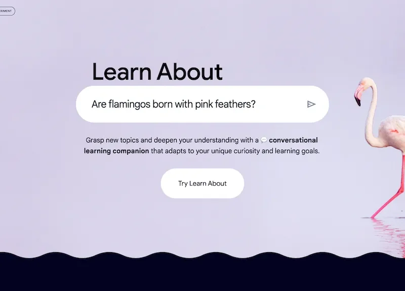 Google's Learn About