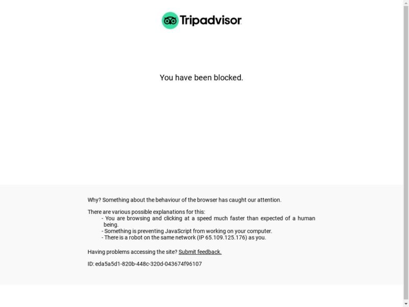 TripAdvisor Trips